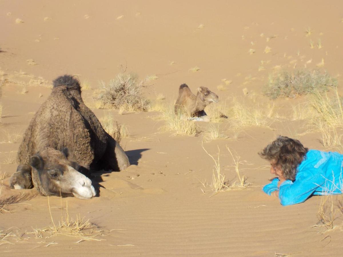 Oasis Tilogui - Luxury Hotel In Zagora Buitenkant foto